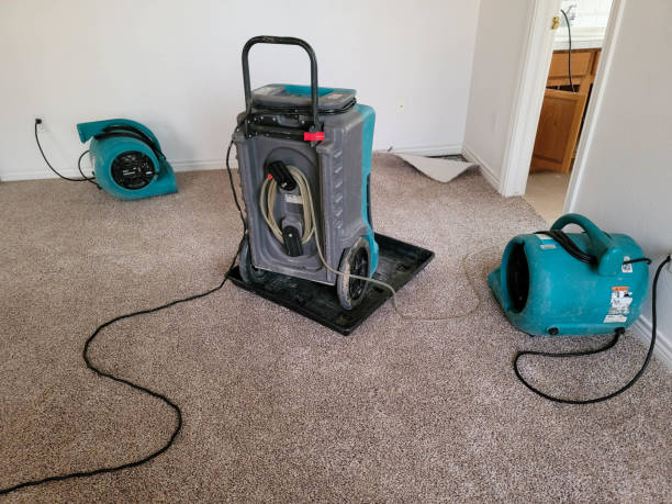 Best Sewage cleanup and water damage restoration  in Manistique, MI