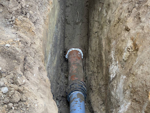 Best Basement water damage restoration  in Manistique, MI