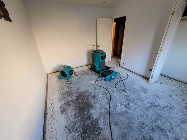 Best Commercial water damage restoration  in Manistique, MI