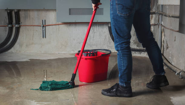 Best Flooded house restoration  in Manistique, MI