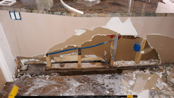 Best Local water damage restoration  in Manistique, MI