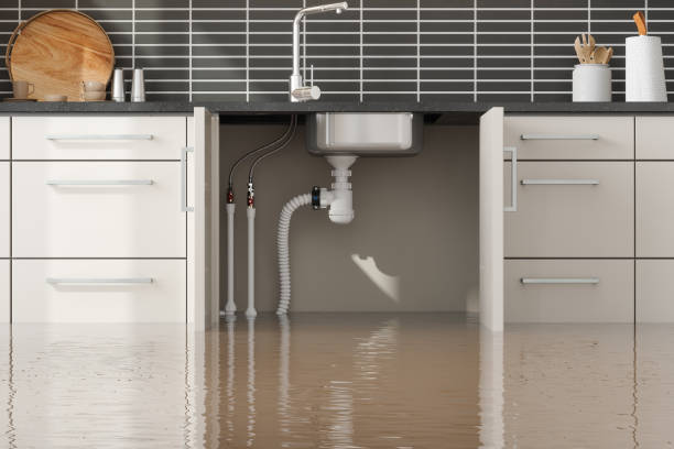 Best Fire Damage Restoration  in Manistique, MI