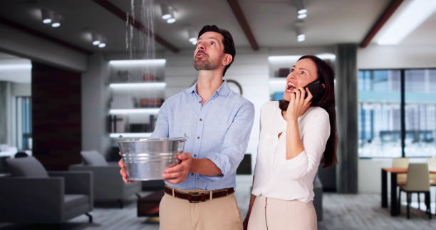 Best Mold removal after water damage  in Manistique, MI