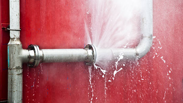 Best Flood restoration services  in Manistique, MI